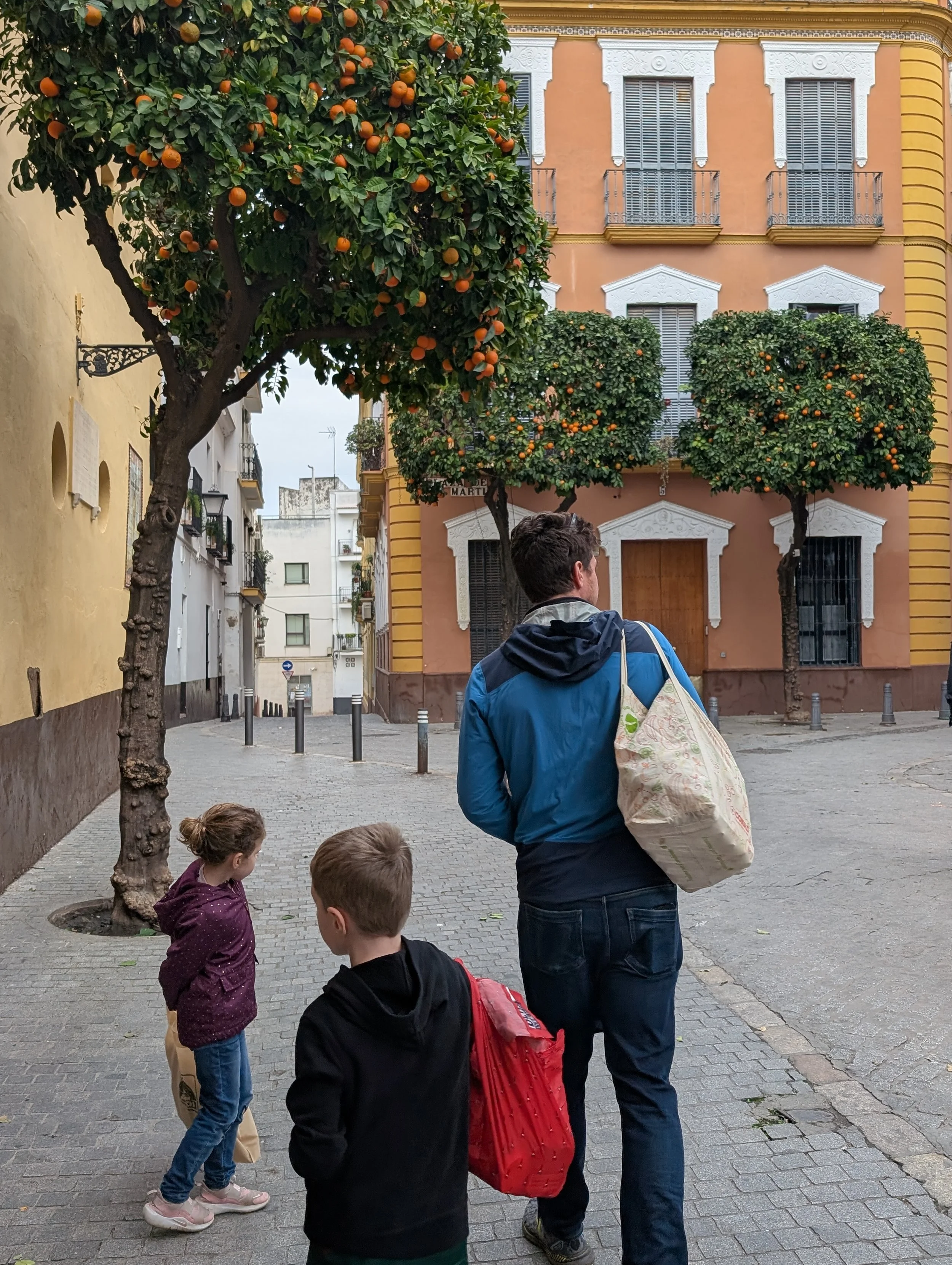 PXL_20260115_155650770.RAW-01.COVER.jpg