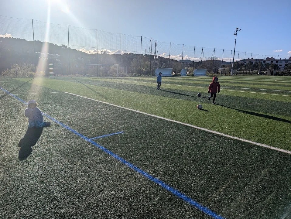 PXL_20260326_070844105.jpg