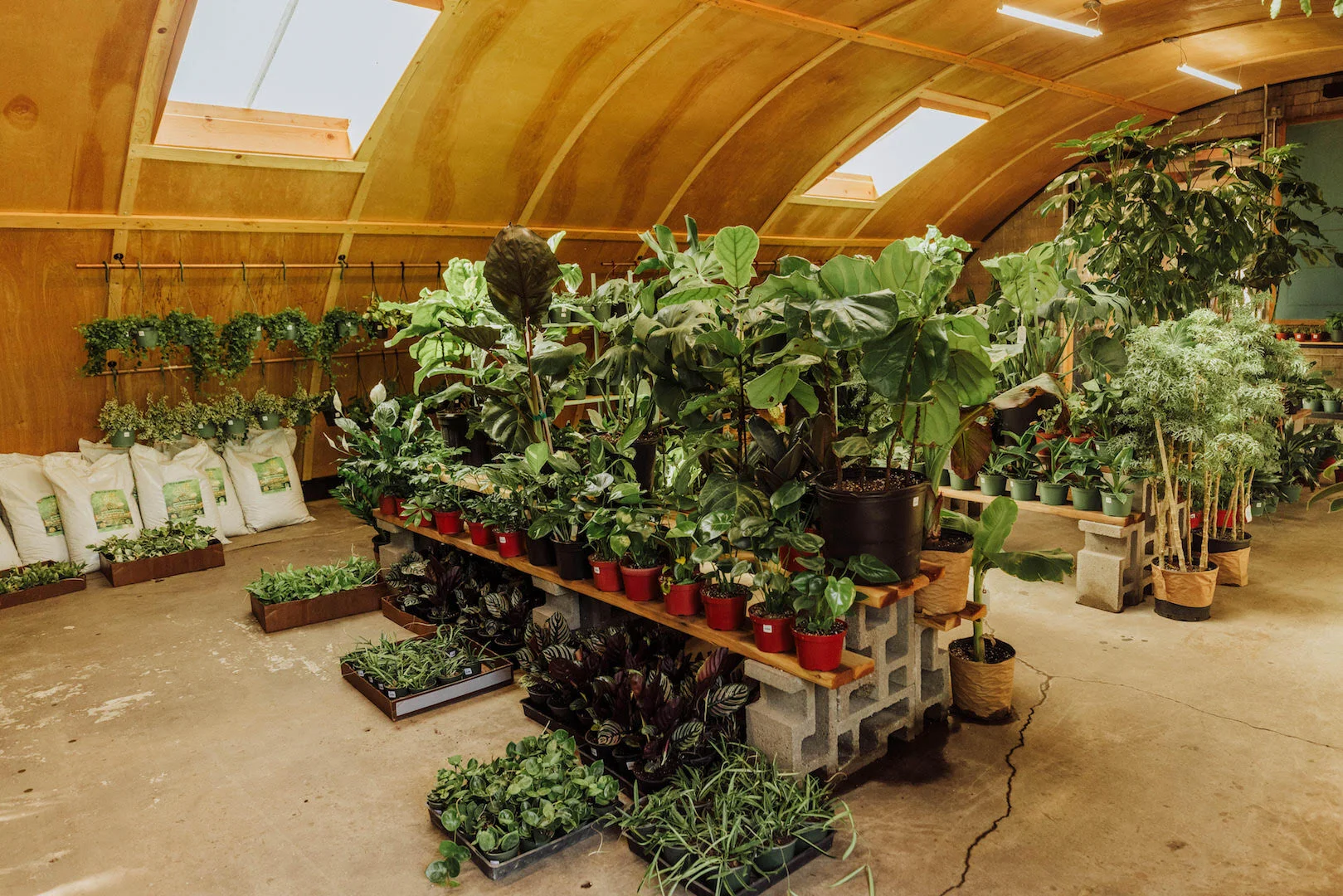 Inside one of the rehabbed buildings on Pueblo's property