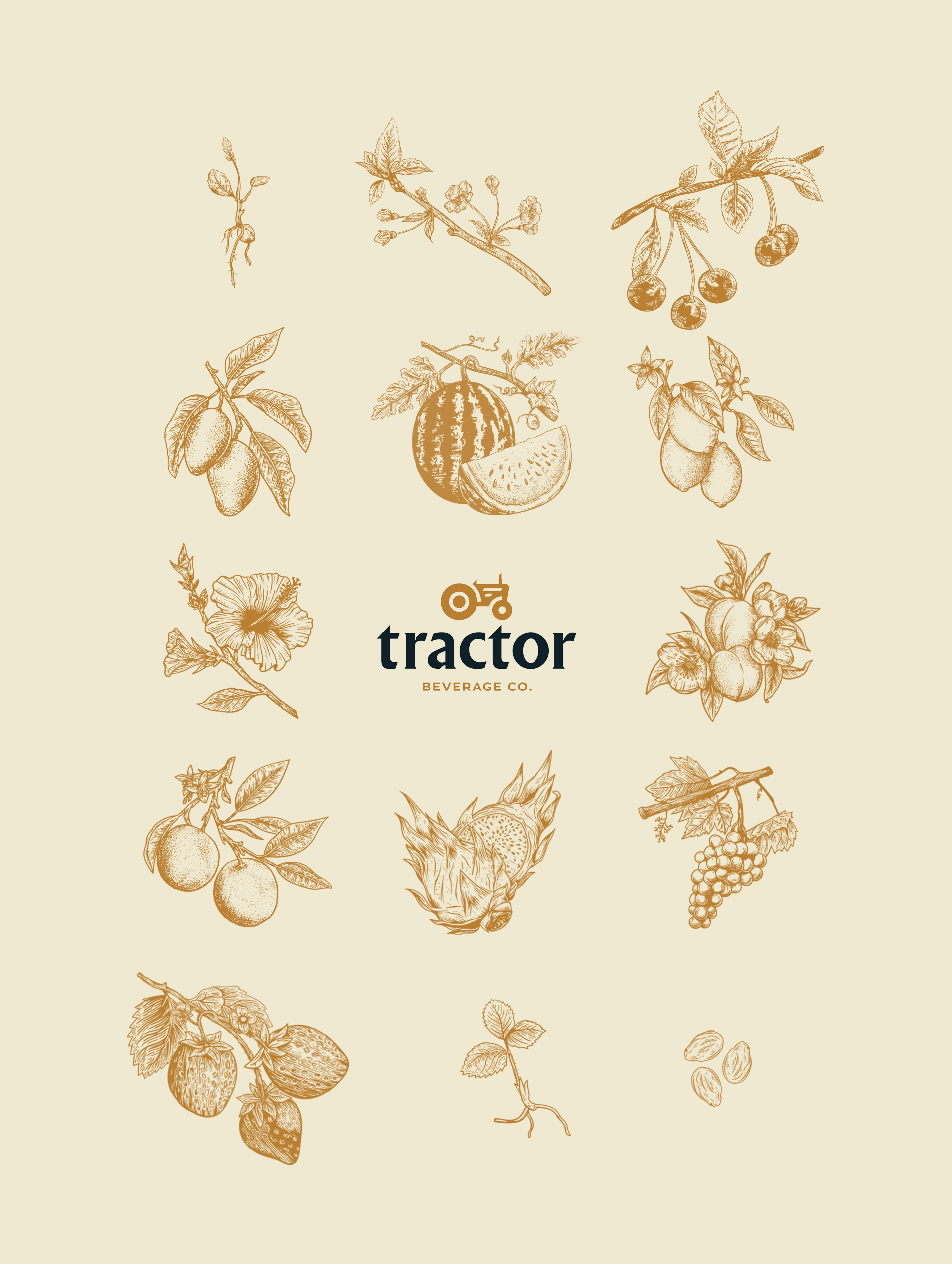 Tractor_Header_Fruit_Ill.png