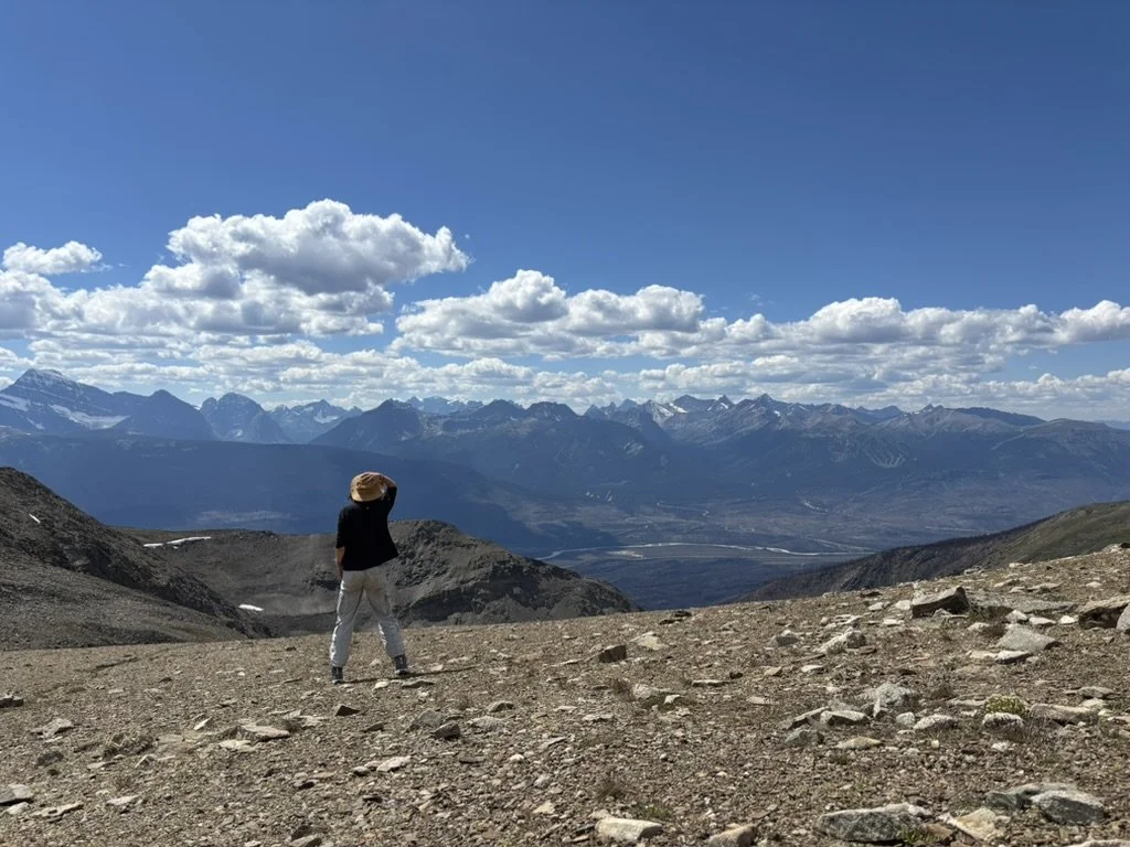Person standing on rocky mountain terrain overlooking a valley with mountain range in the background, under a partly cloudy sky.