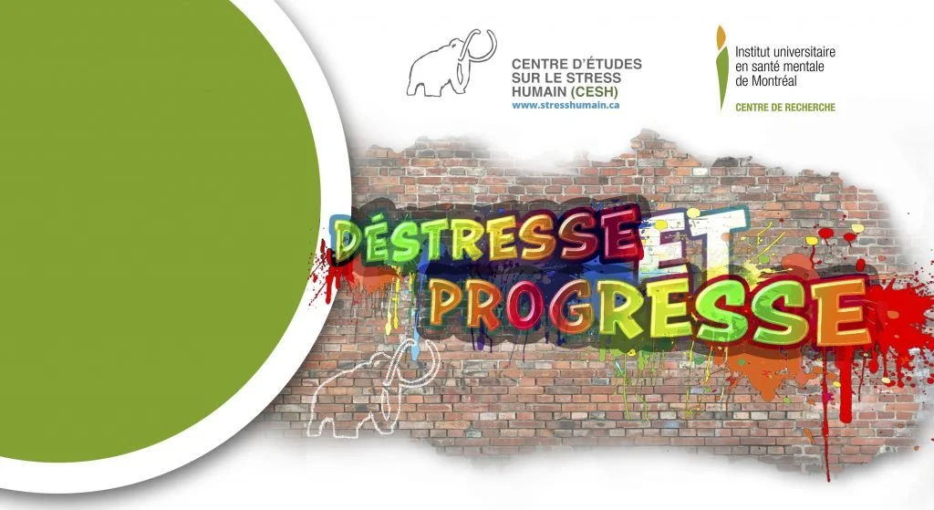 Une affiche graffiti représentant le stress et la progression avec des mots colorés, un mur en briques en arrière-plan, et des logos de centres de recherche en santé mentale.