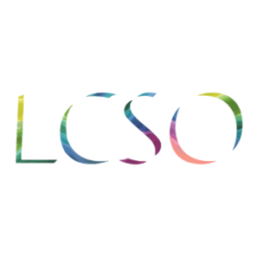 Colorful logo spelling out "LISC" with a vibrant, gradient fill on a black background.