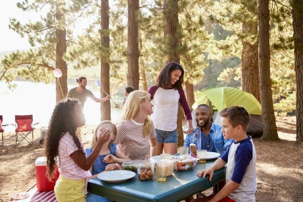 Why Family Mediation Beats Court Battles: A Smarter, Kinder Way to Resolve Disputes