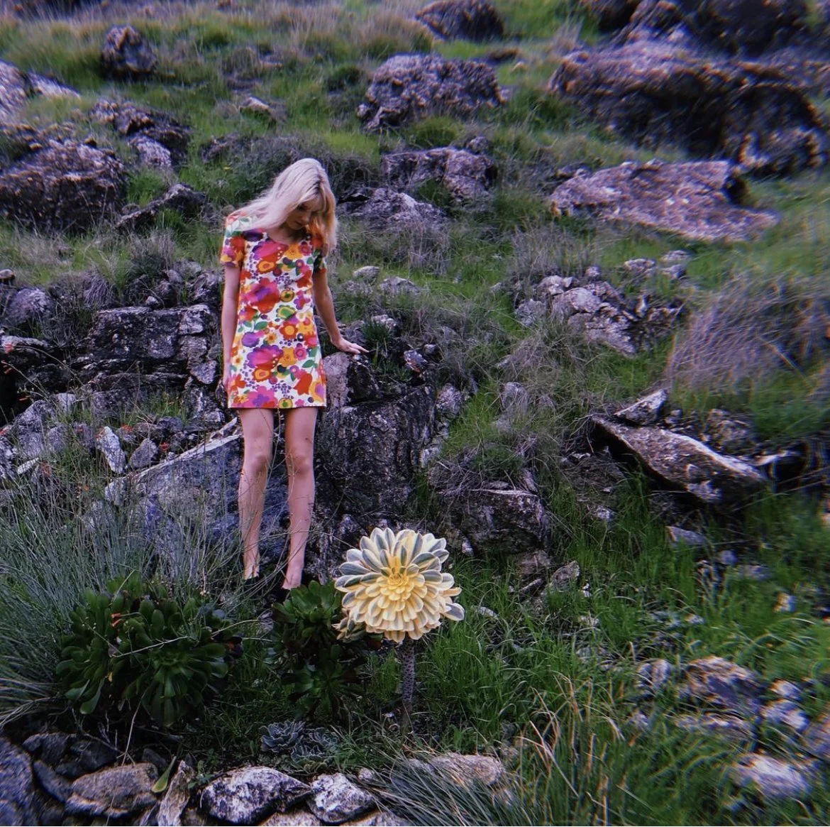 Belladonna Mini