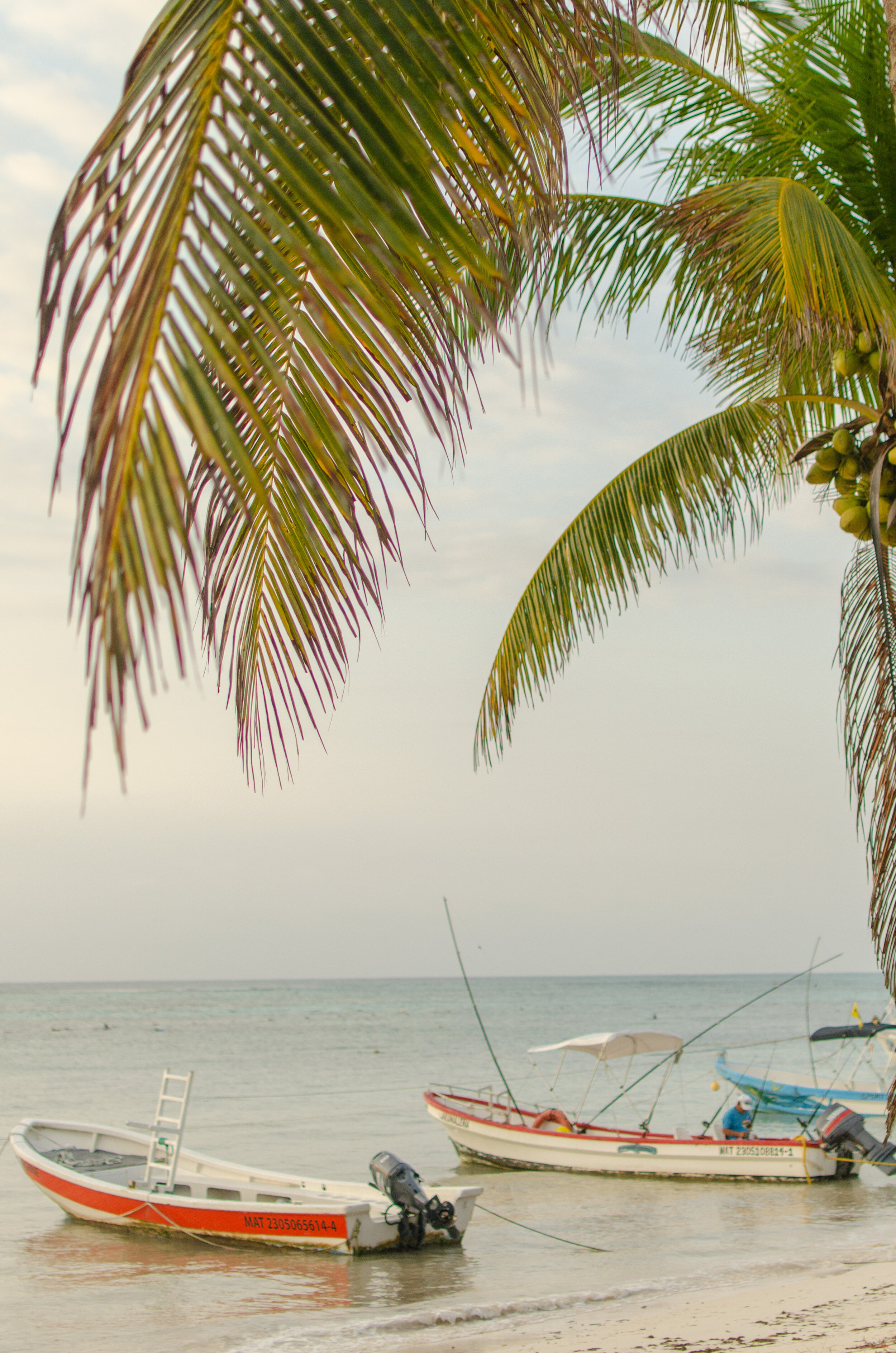 akumal.jpg