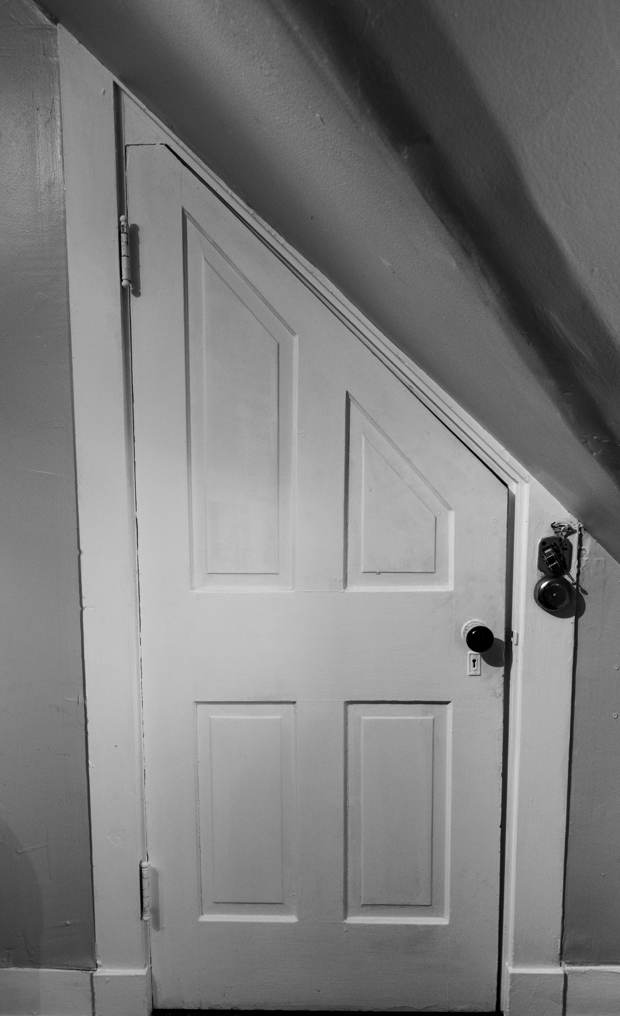 DSC_0260.jpeg