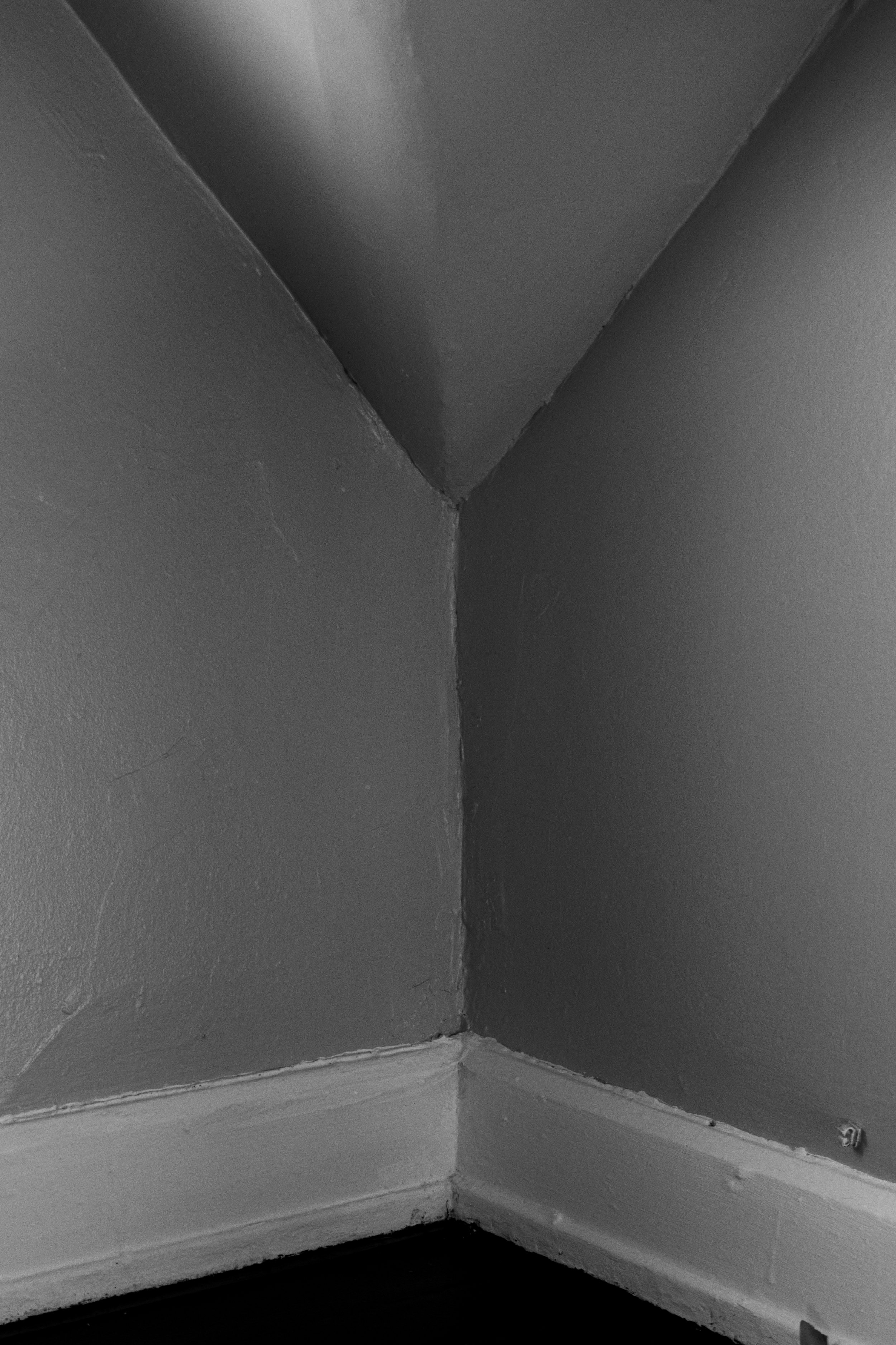 DSC_0204.jpeg