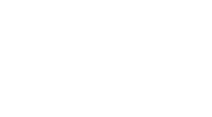 LimiFlex Dynamic Sagittal Tether - Empirical Spine