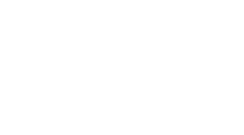 LimiFlex Dynamic Sagittal Tether - Empirical Spine