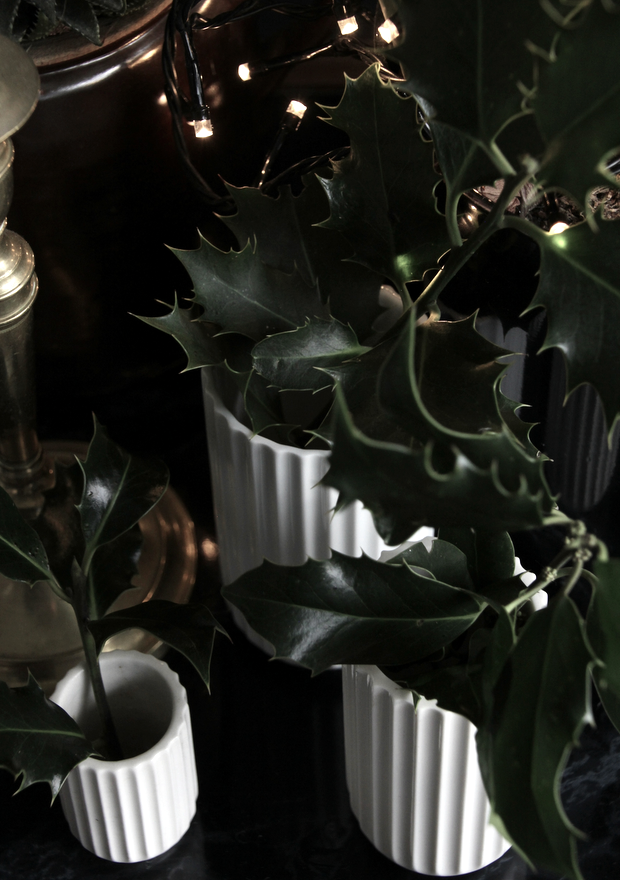 gatheraus decorating with houseplants - shelfie holidays 3.png