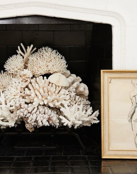 gatheraus- empty-fireplace-ideas#coral.jpeg