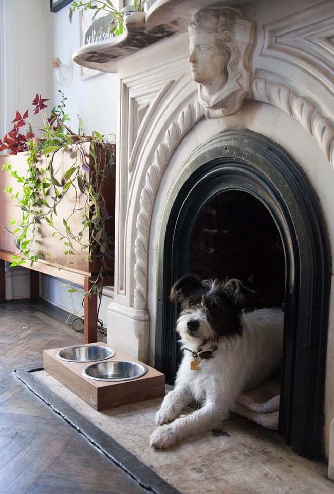 gatheraus unused fireplace ideas - Doggie-Den.jpeg