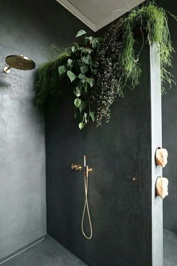 gatheraus decorating with houseplants - bathroom .jpg