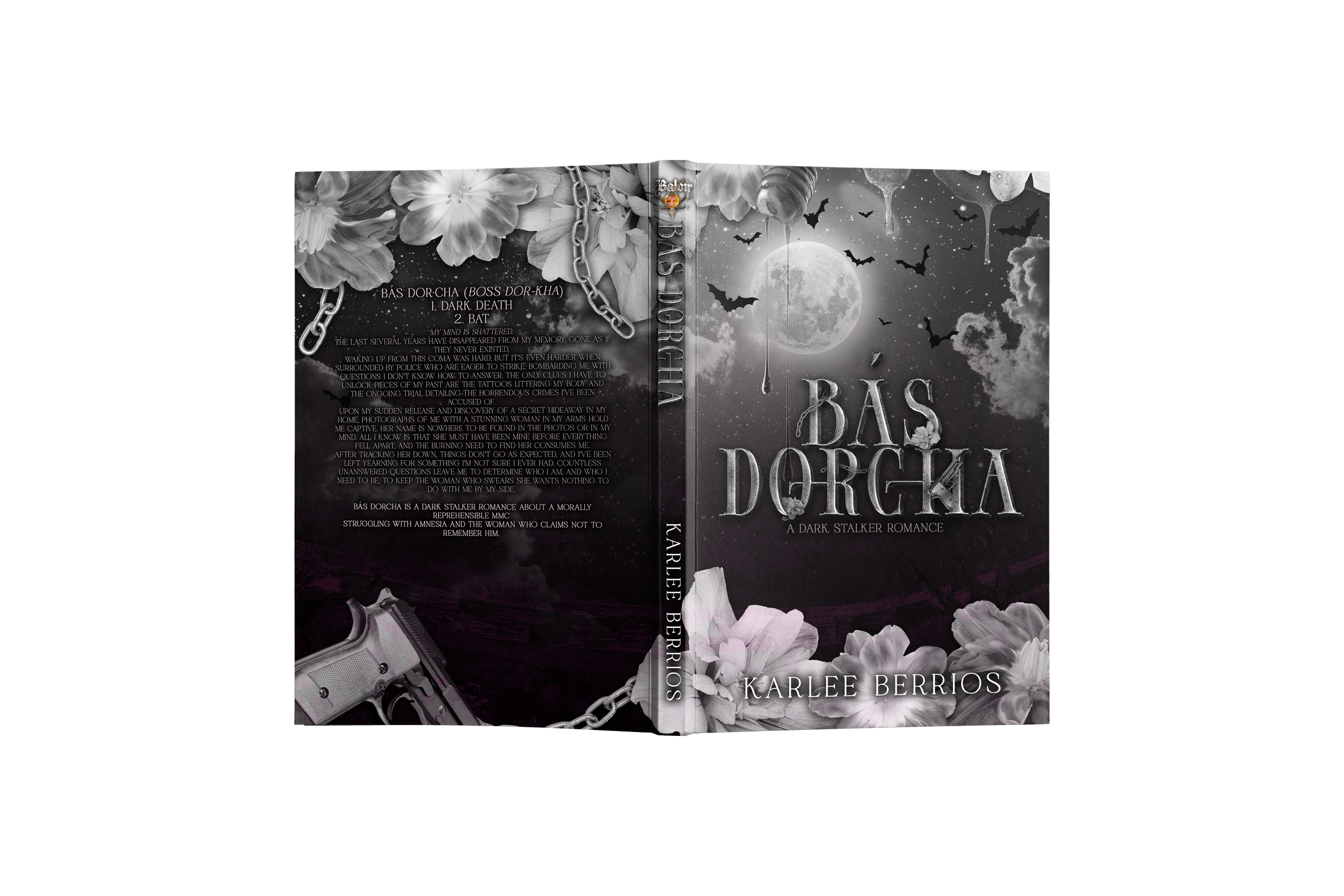 Bás Dorcha Paperback