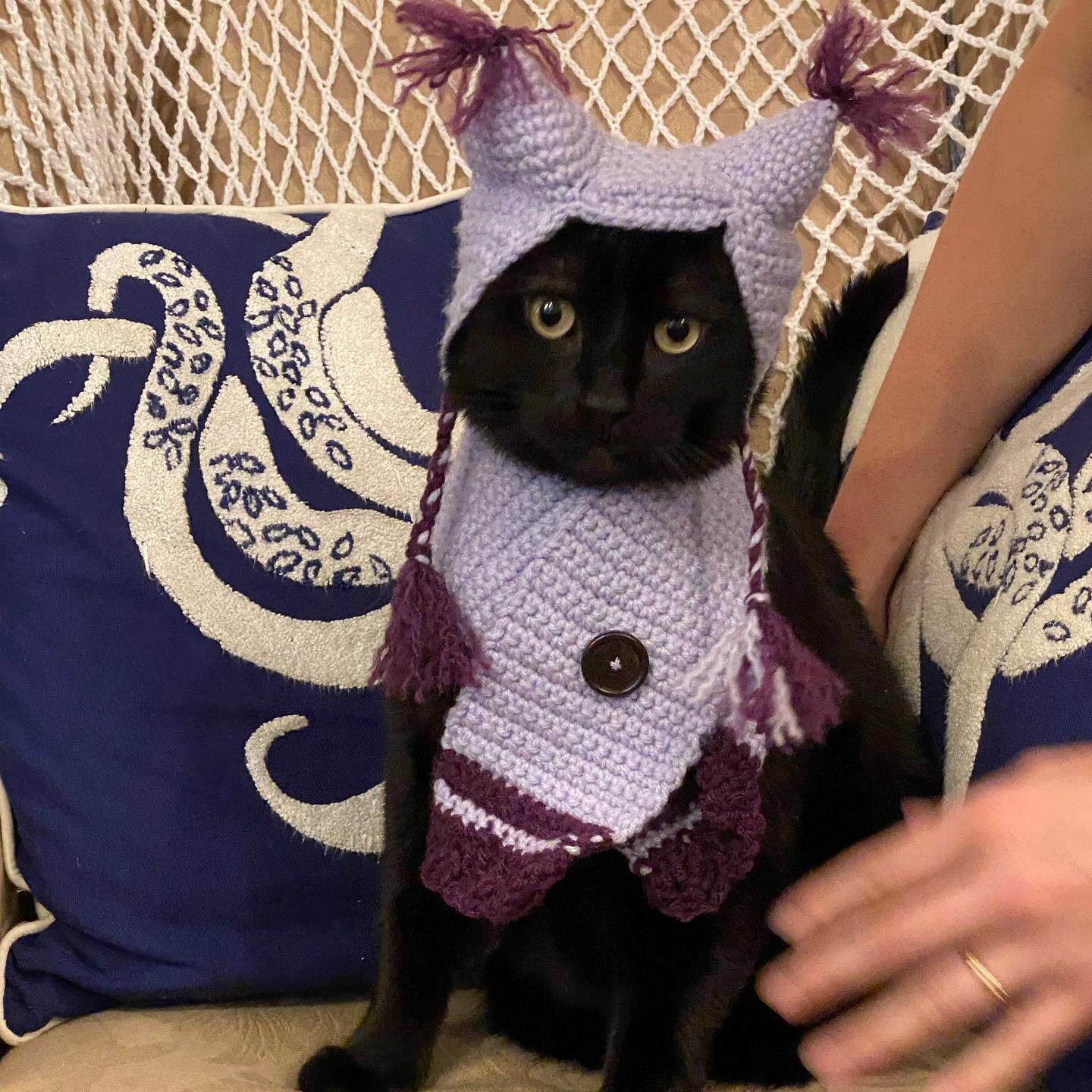 Ever see your cat sitting there looking cold and think to yourself, how can I make you warmer? Well, at Navigators Crafting, we have the solution for you! A lovely cat hat and scarf!!! A handmade crochet hat and scarf for your favorite furry friend w