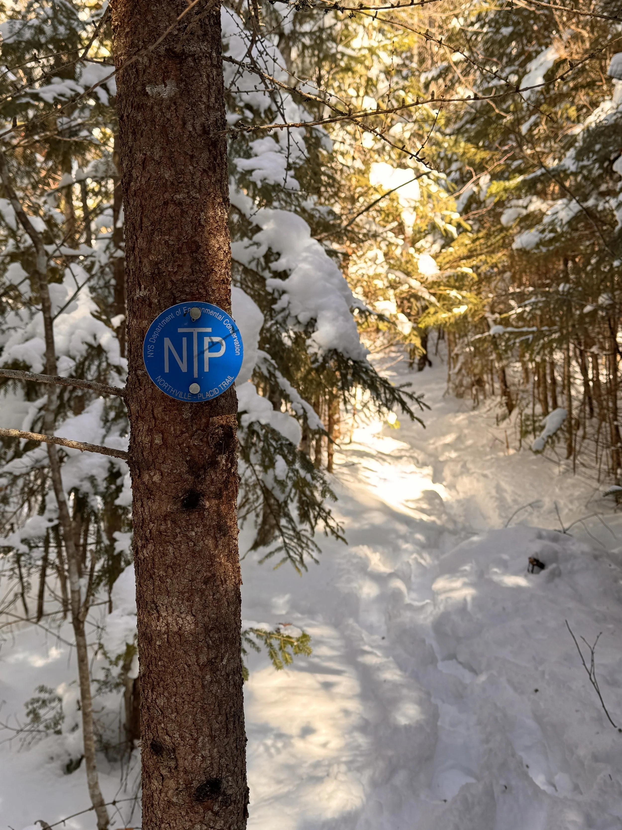 Winter on the Northville-Placid Trail