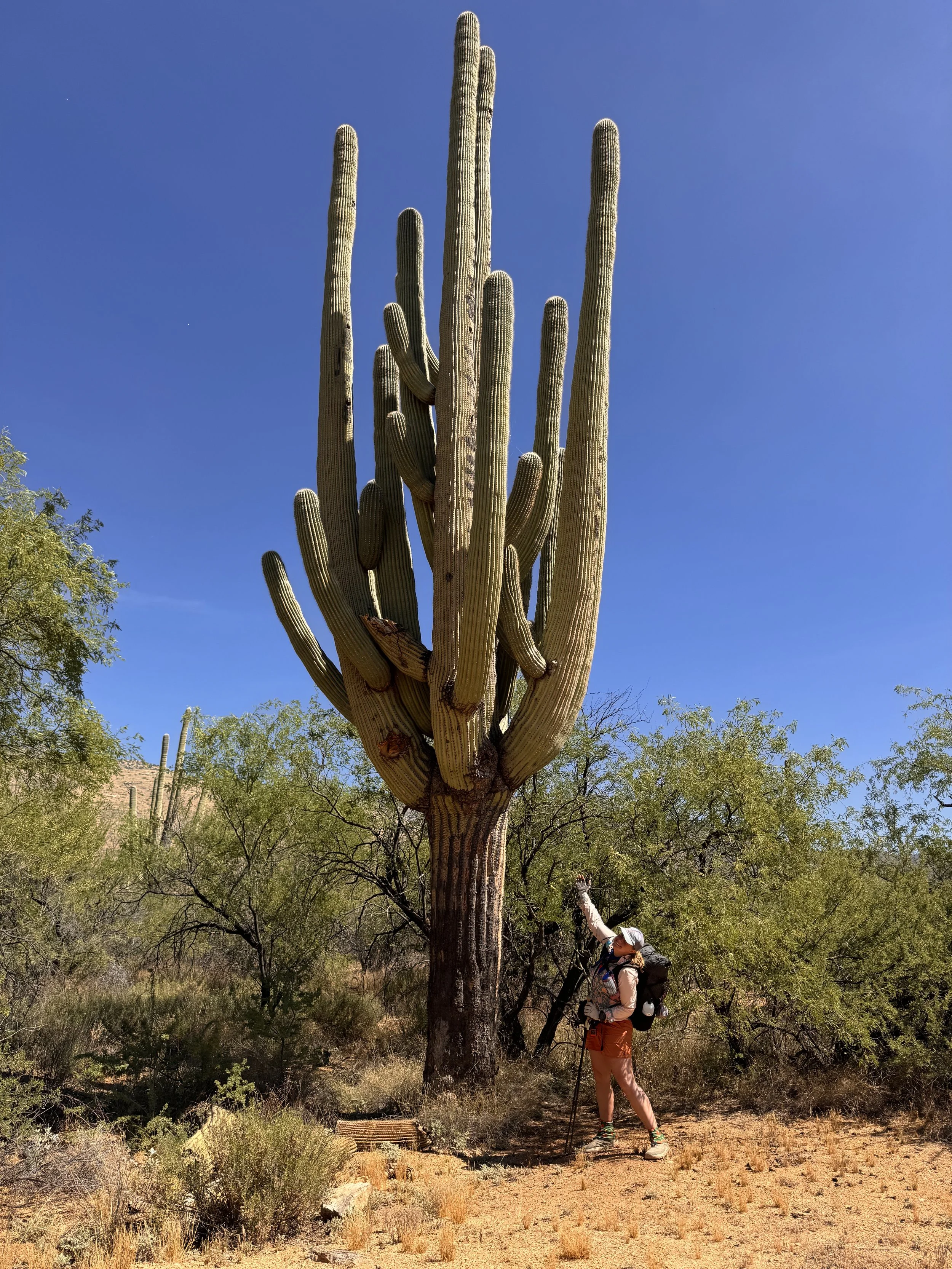 Miles 119-184 on the Arizona Trail