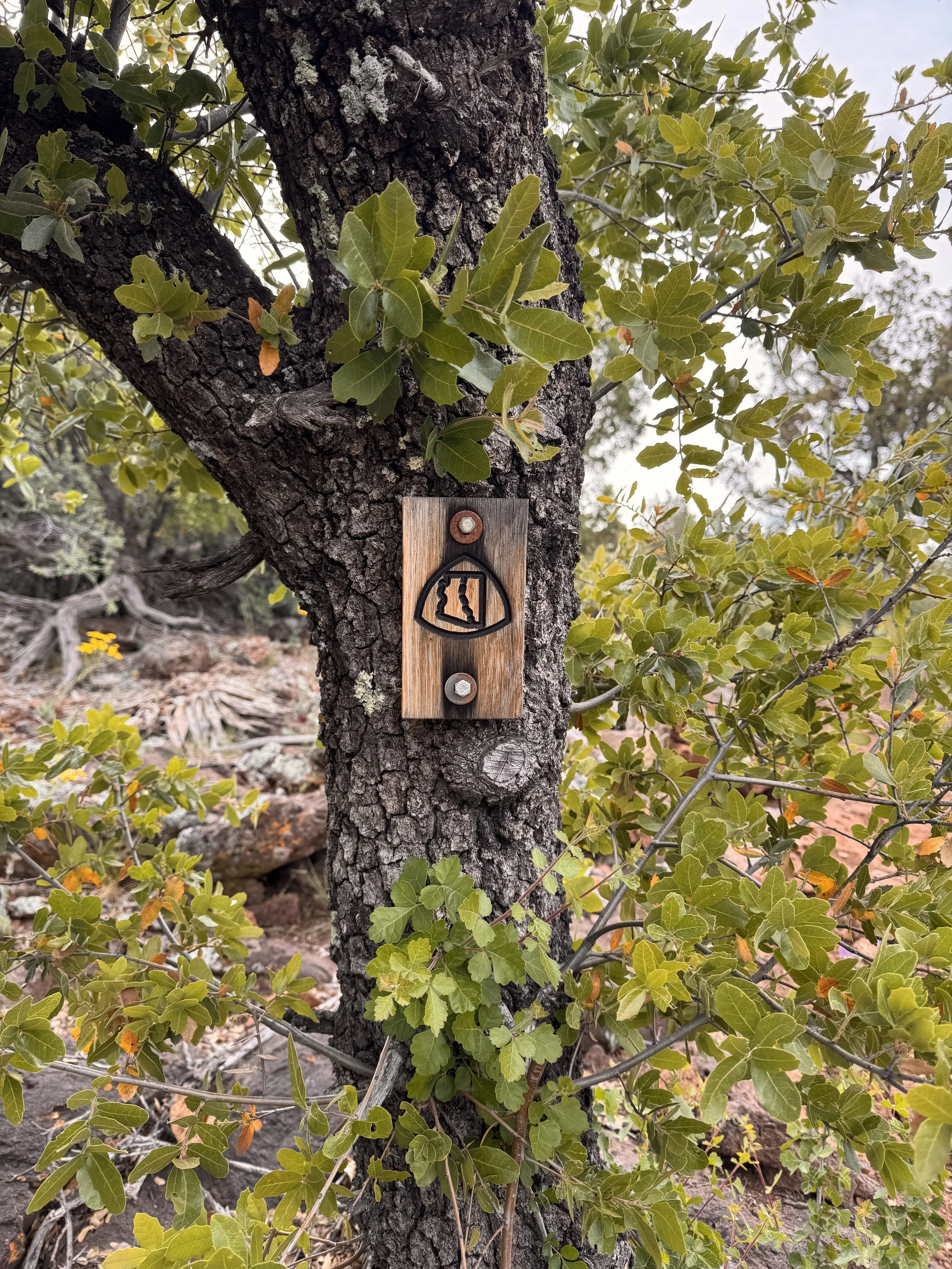 Miles 387-459 on the Arizona Trail