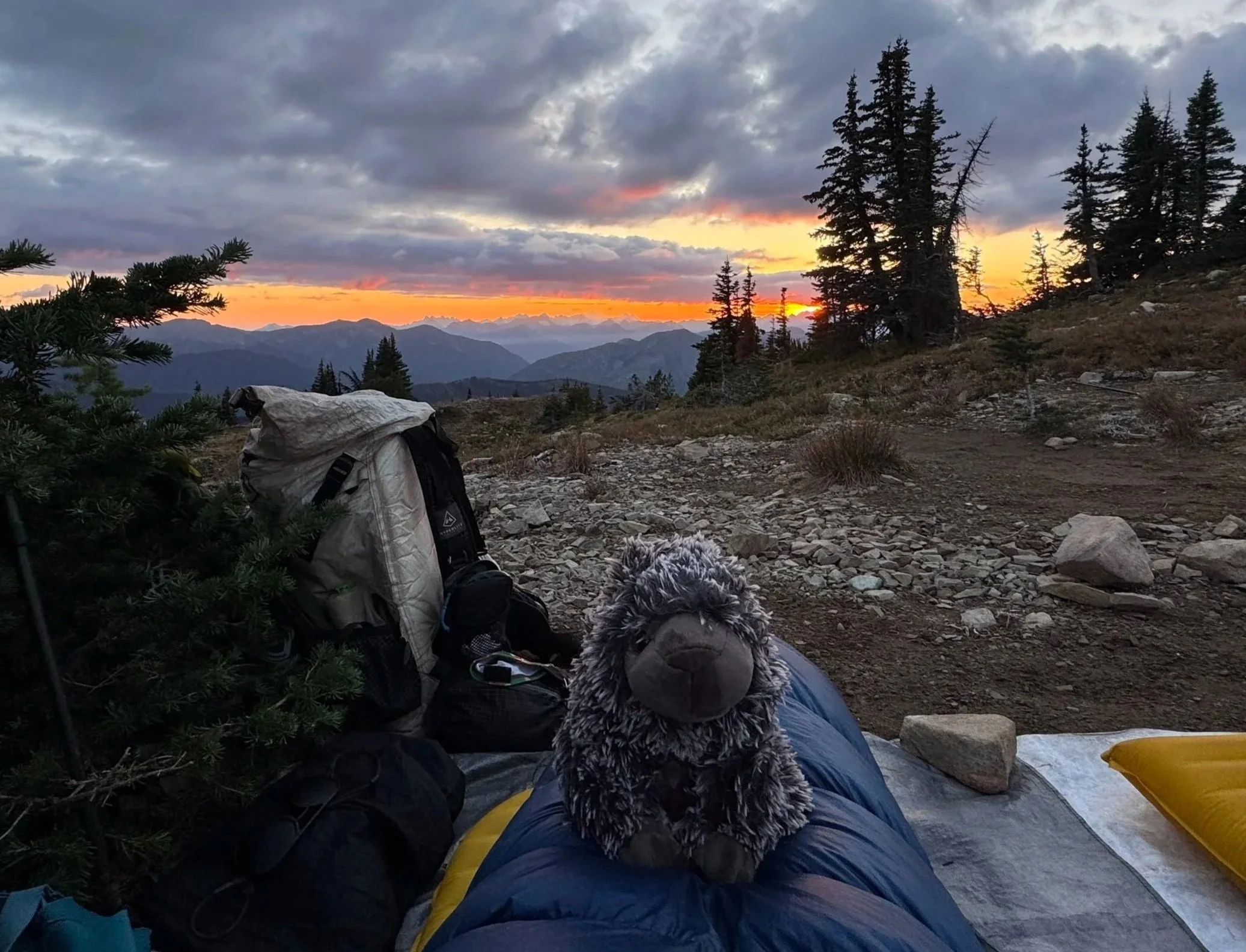 A campsite on a mountain trail at sunset, with a plush stuffed animal porcupine sitting on a sleeping pad, surrounded by camping gear and a backpack, overlooking distant mountain ranges and a colorful sky with clouds.