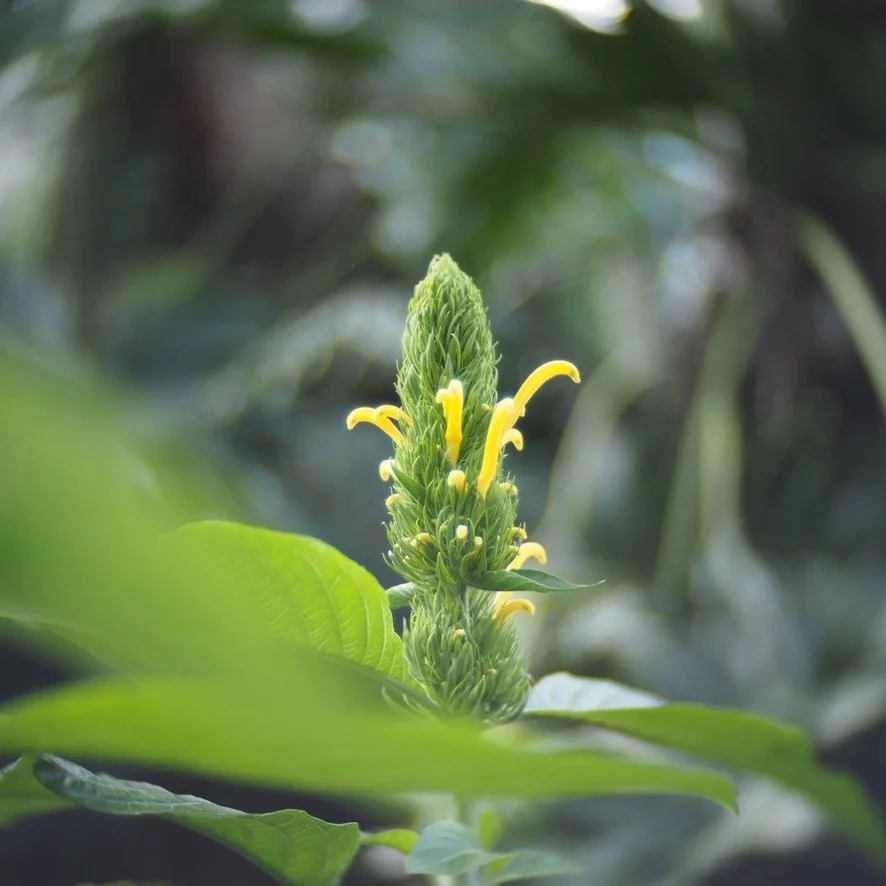 You are full of infinite possibility. Embrace your potential with this 15 minute full-body stretch.
