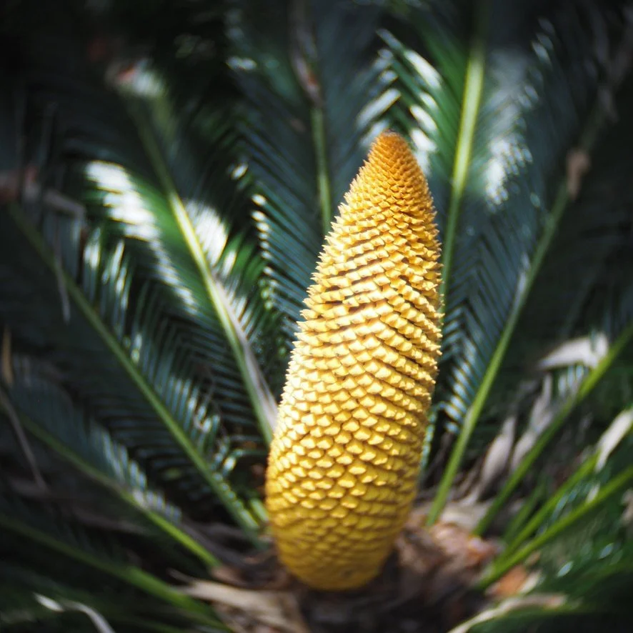 Three minute fun flow.