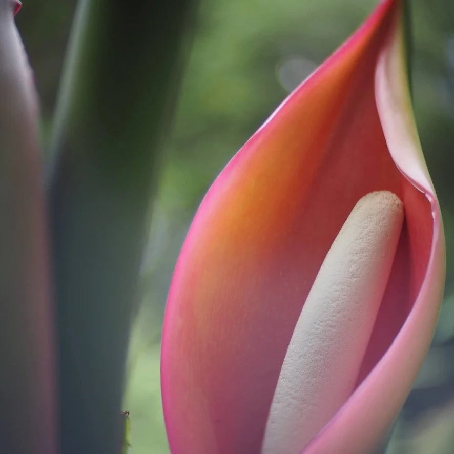 Eight minutes of yoga.