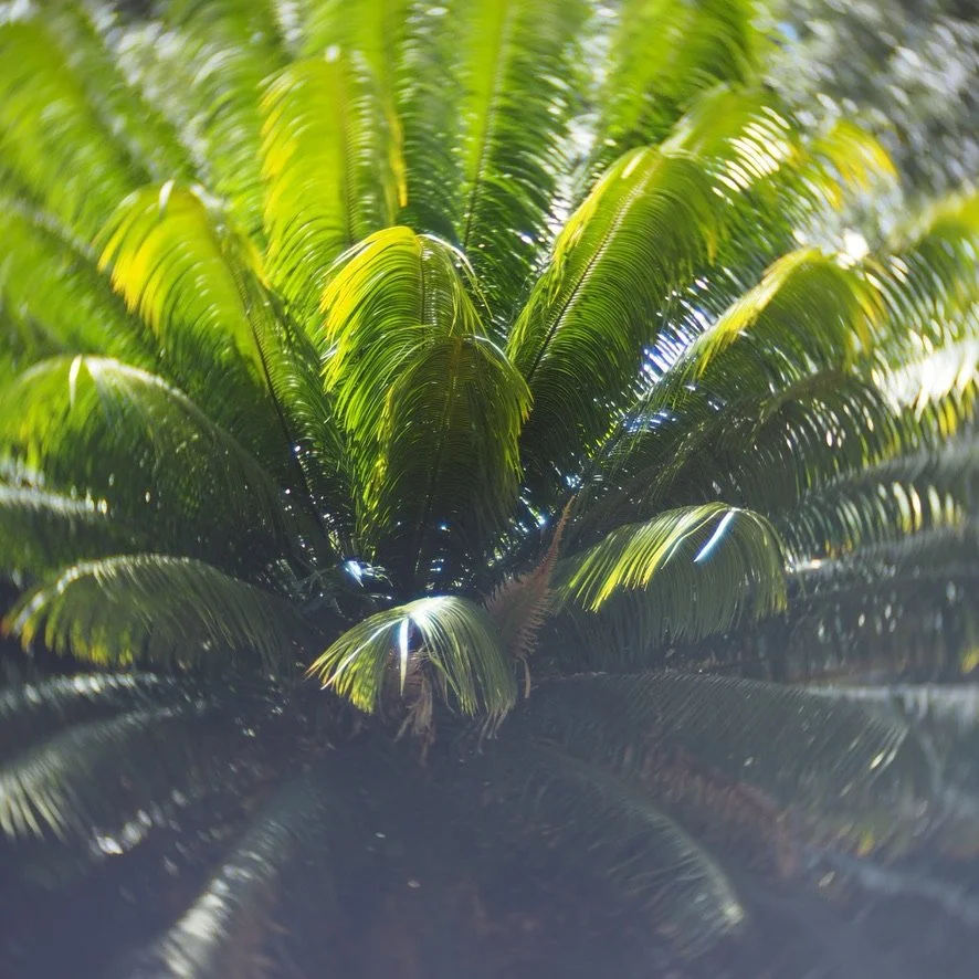 Take note of the small stuff. A 5 minute meditation to sharpen your mind.