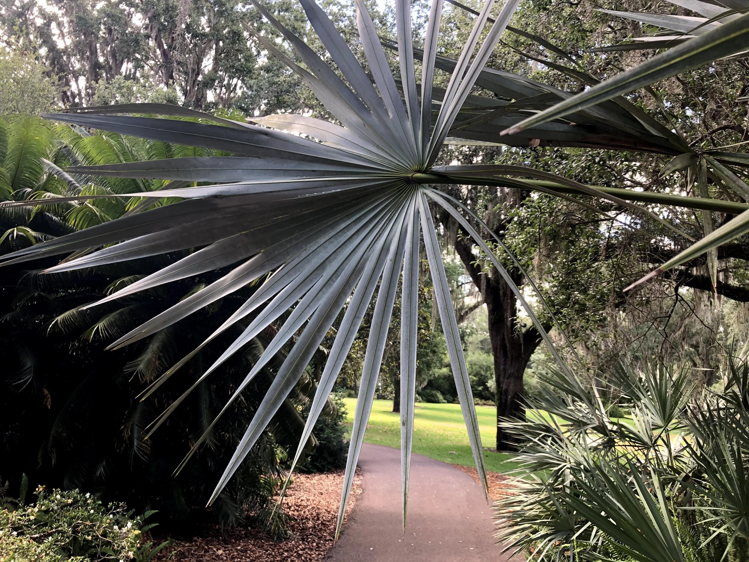 STOP. Yoga time. Enjoy a 10 minute, full-body stretch.