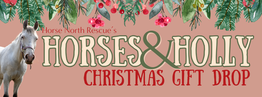 Horses & Holly - Blain's Farm & Fleet