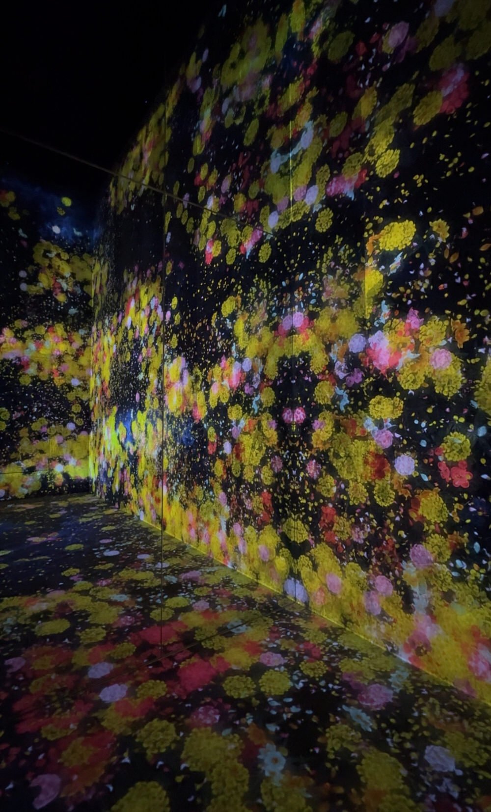 teamLab Planets vs. NEW teamLab Borderless: Which is Better? | Food Inbox