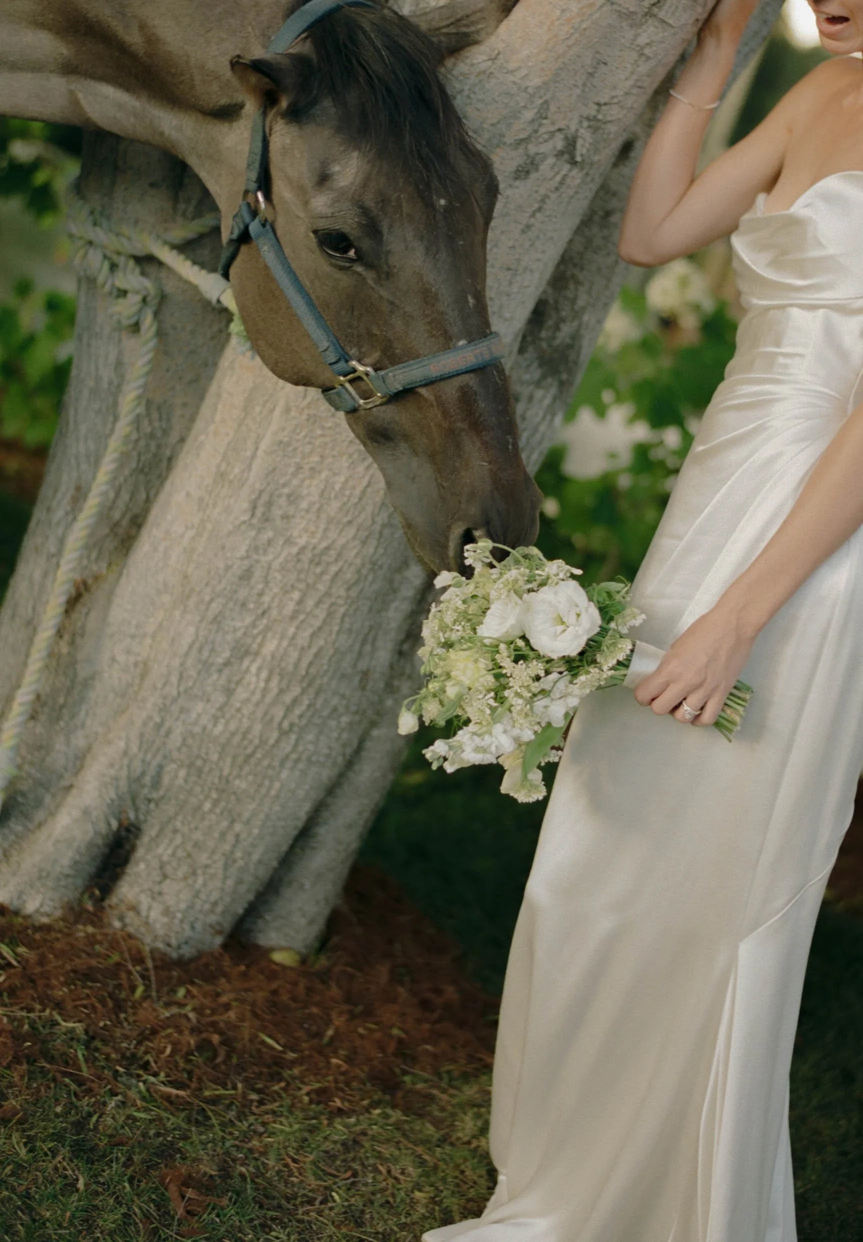 brittaandsean.breahnataylorphotography-000008230002.jpg