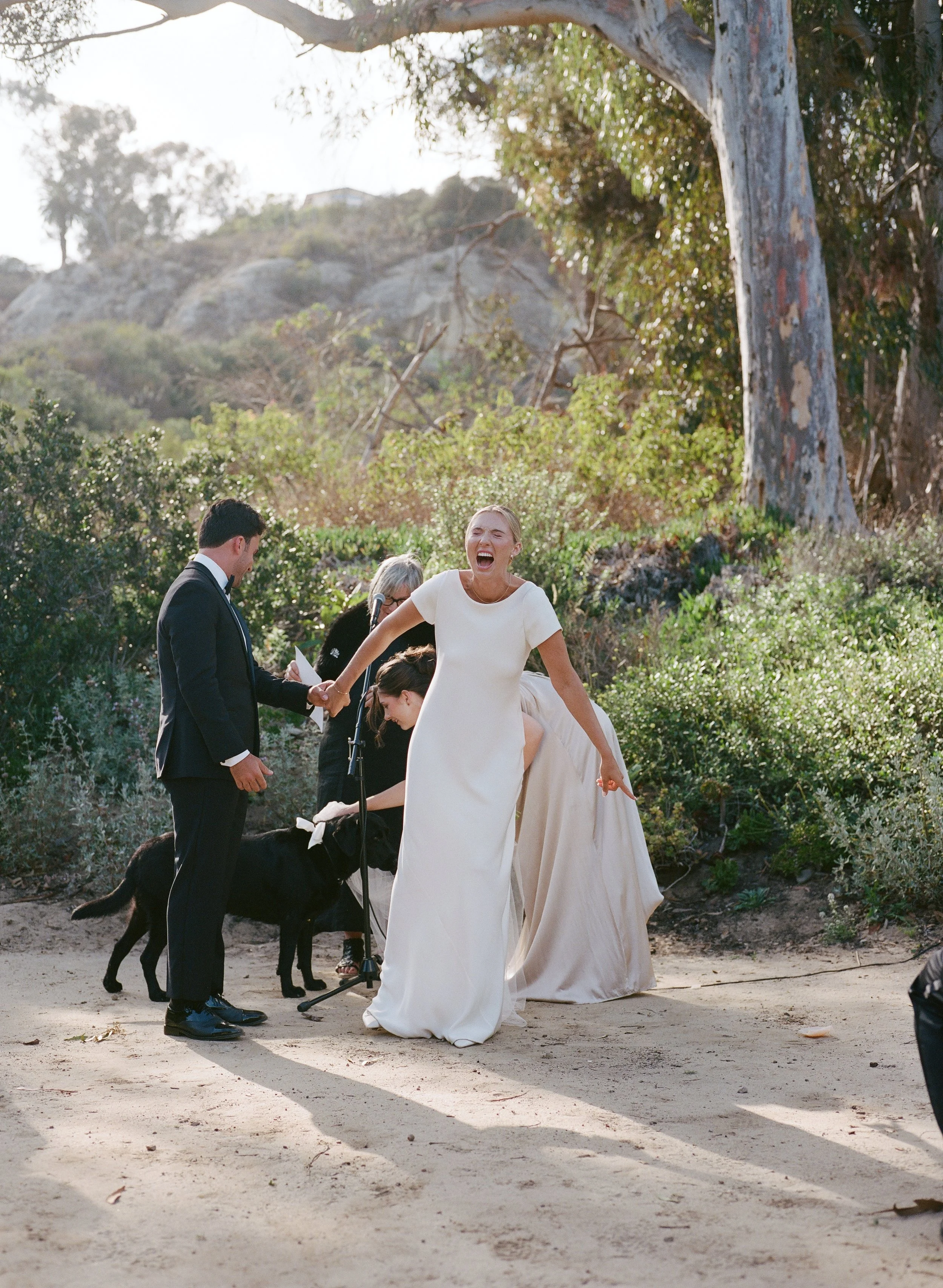Bride in a white wedding dress laughing and holding hands with her groom, outdoors near trees and bushes, during a wedding ceremony.