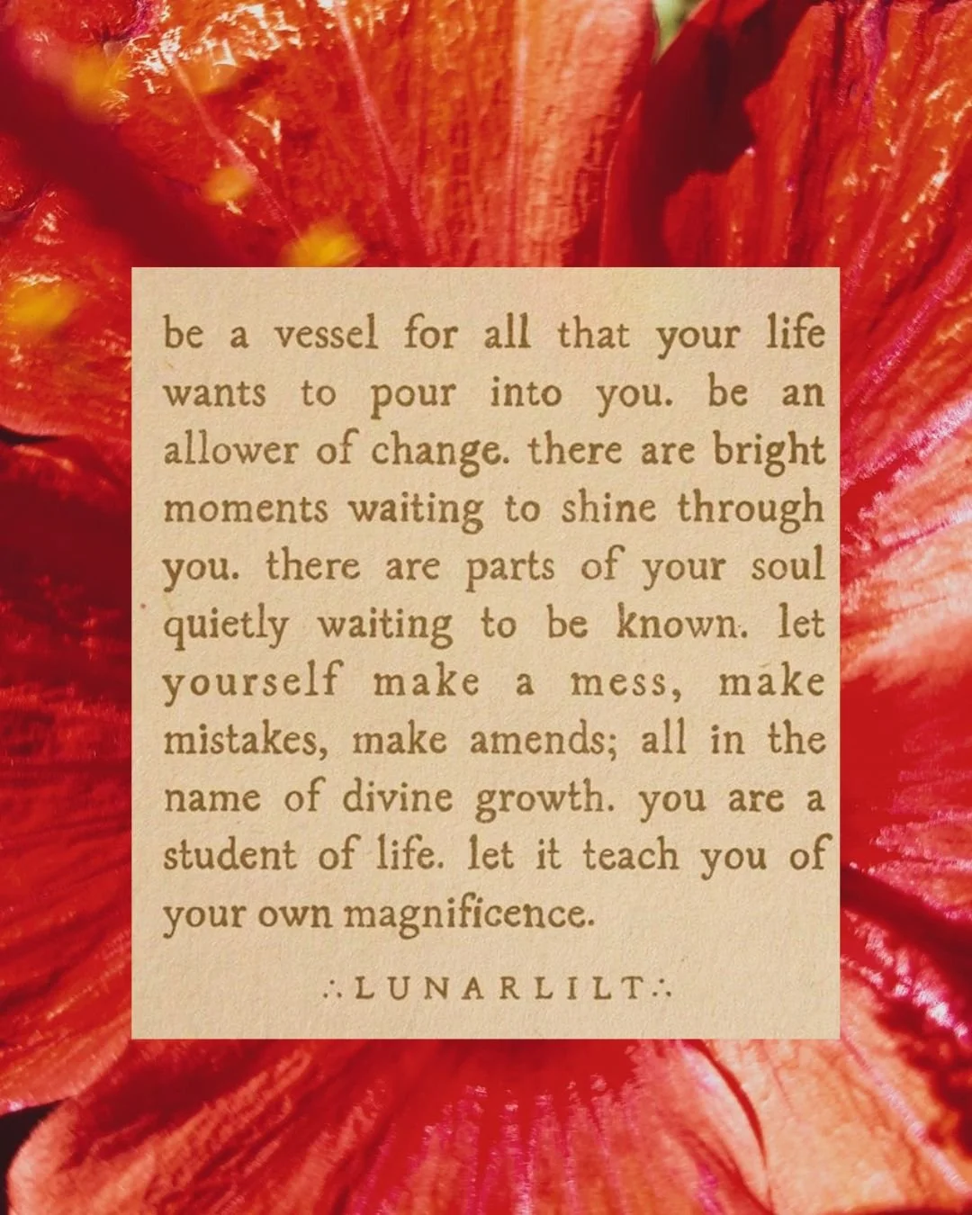 Join us at Boheme for our quite revolution this month.

At a time in life when the world tells us to be going harder + faster, doing more, being everything to everyone.

We are getting slower, more present, breathing deeper, remembering what really m