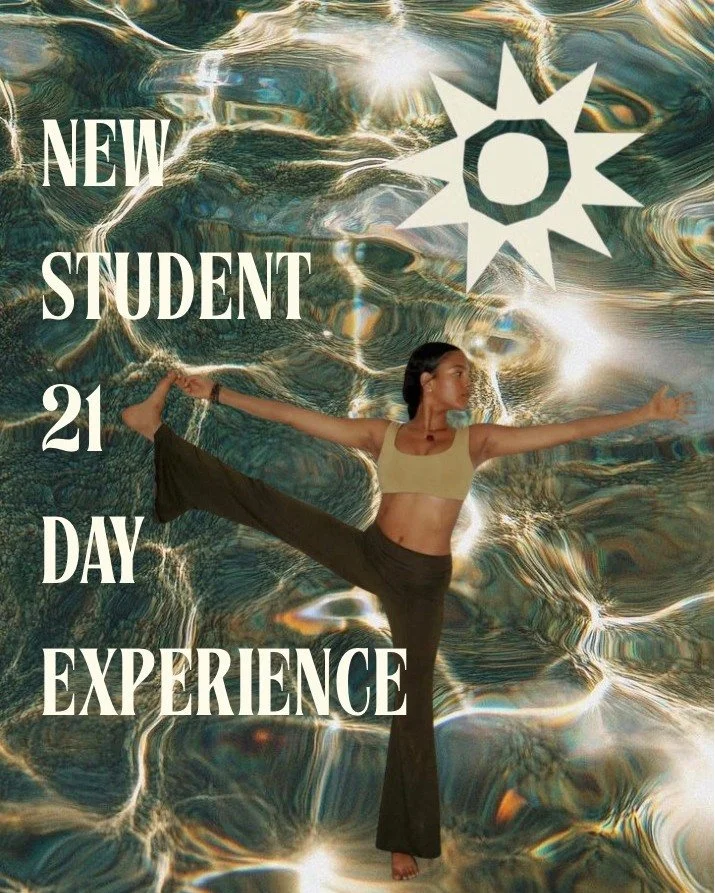 If you are yet to join us then here is your invitation...

21 days of unlimited classes for just $75. 

A chance to try all the styles, meet our team, connect in our community + experience the Boheme way.

Together We Rise ❤️&zwj;🔥
.
.
.
.
 #yogagol