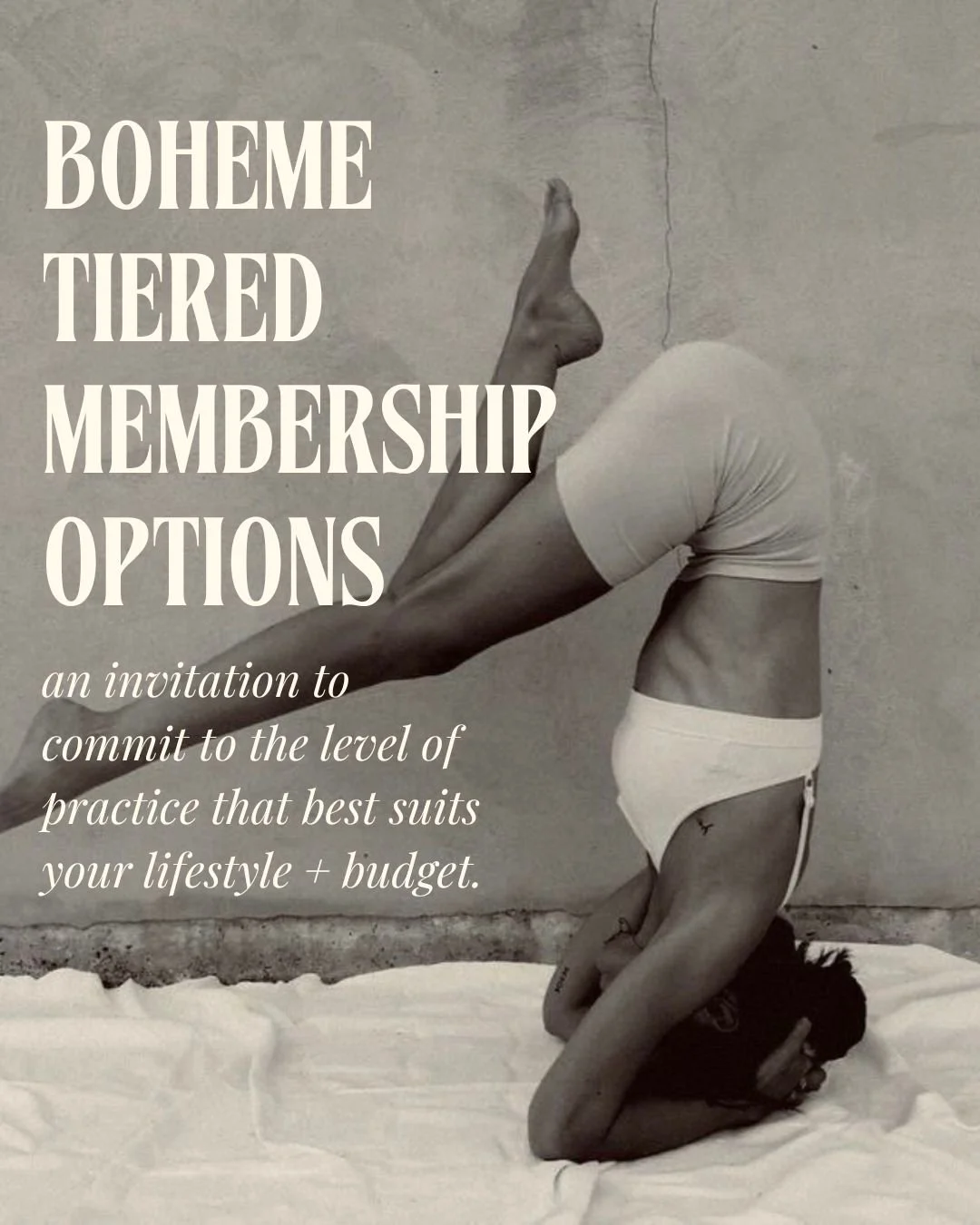 ꩜ Have you seen our Tiered Membership Options? ꩜

They are an invitation to commit to the level of practice that best suits your lifestyle + budget.

Doing our best to reward our students commitment whilst supporting our mission to ensure Yoga is acc