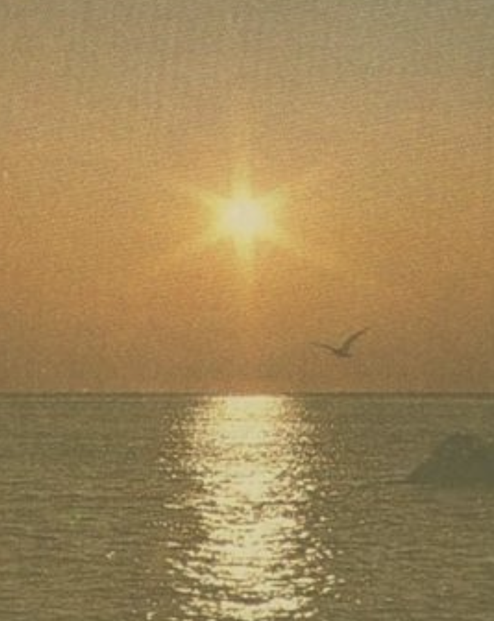 Plan Your Day the Ayurvedic Way