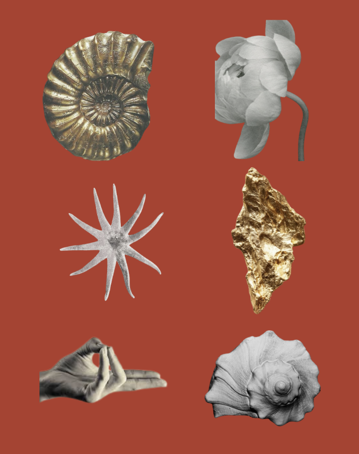 Evolution