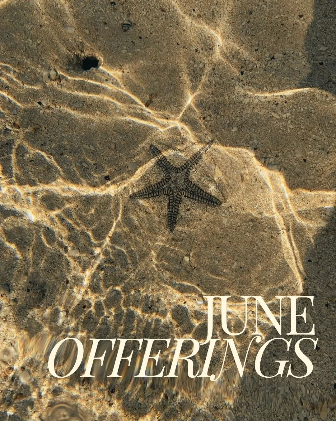Join us in June for our monthly curation of immersive experiences + practice expansions. 

As Winter arrives it asks of us to intentionally tend to our health daily, to spend more time in rest + bring awareness to our own subtle body.

Through sound,