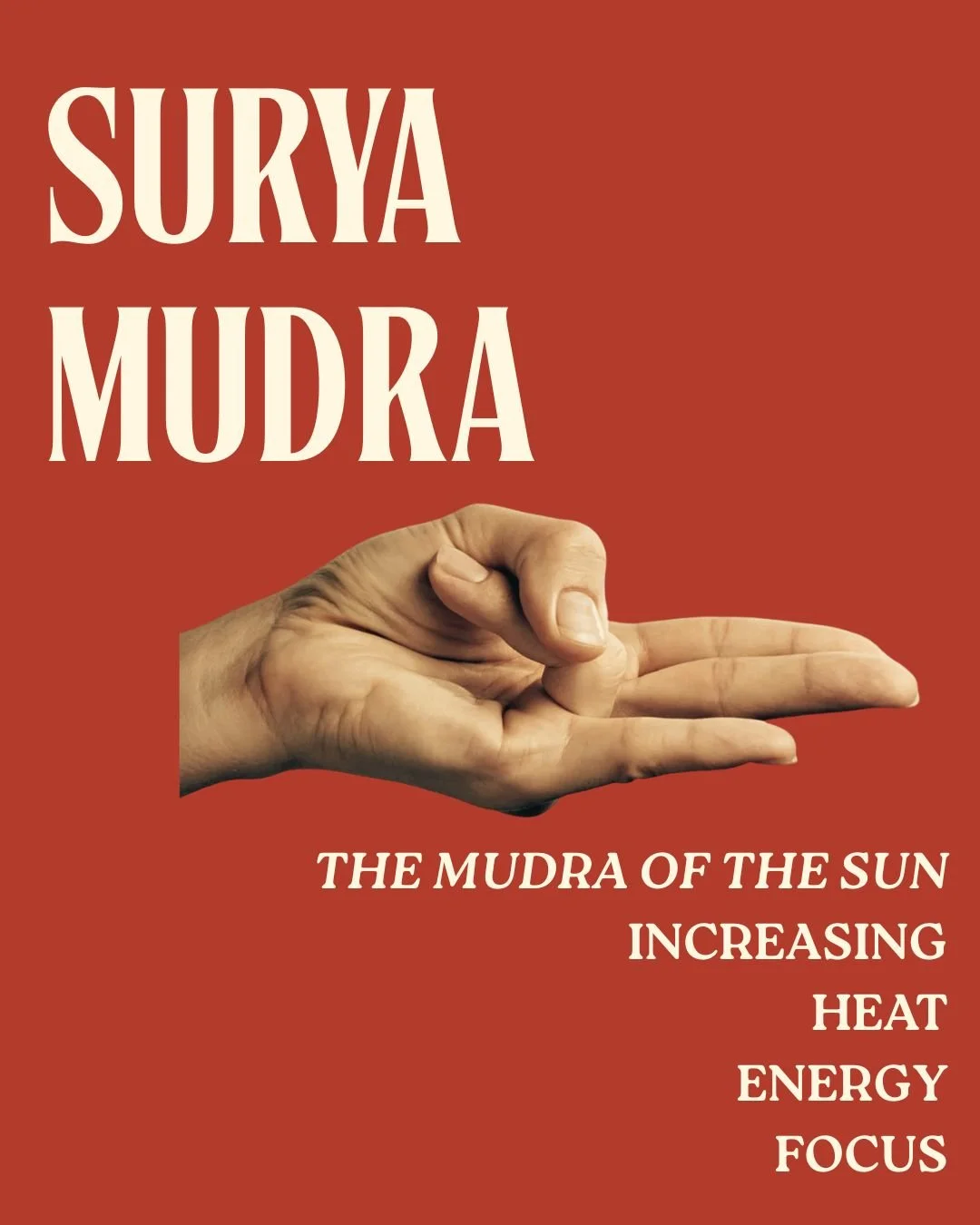 Surya Mudra 🌞

This Mudra&rsquo;s core function is to decrease inertia + increase vitality,  necessary support as we move deeper into Winter. 

Read along to learn the how's + why's of Surya Mudra 👉🏻
.
.
.
.
 #mudra #mudras #yogamudras #yogamudra 