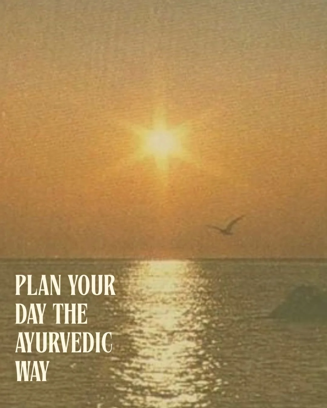 What you do matters.
When you do it matters more.
This is your guide to syncing your day with your body&rsquo;s natural rhythm.

Ayurveda teaches us that nature moves in predictable waves of energy throughout the day each day. 
When we schedule our l