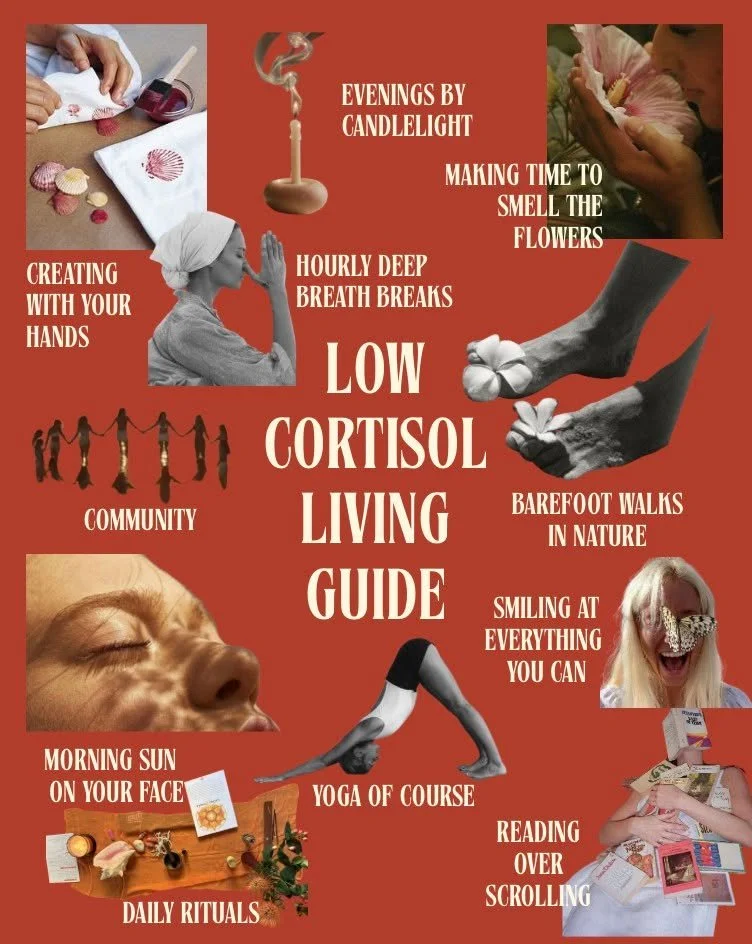 Which 3 will you integrate into your day?
.
.
.
.
 #lowcortisollife #lowcortisolclub #lowcortisollifestyle #lowcortisolliving #livingyoga #livingyogamethod #livingyogaprogram #livingyogacommunity #livingyogaoffthemat #livingyogaphilosophy #livingyoga