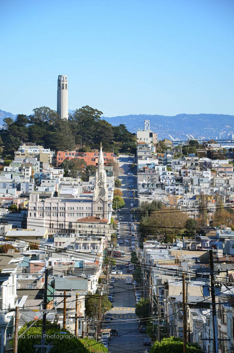 sf.jpg