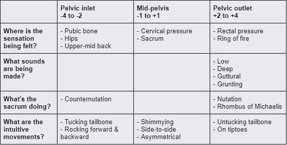 assessing labor progress without a cervical exam — Born Strong Doula ...