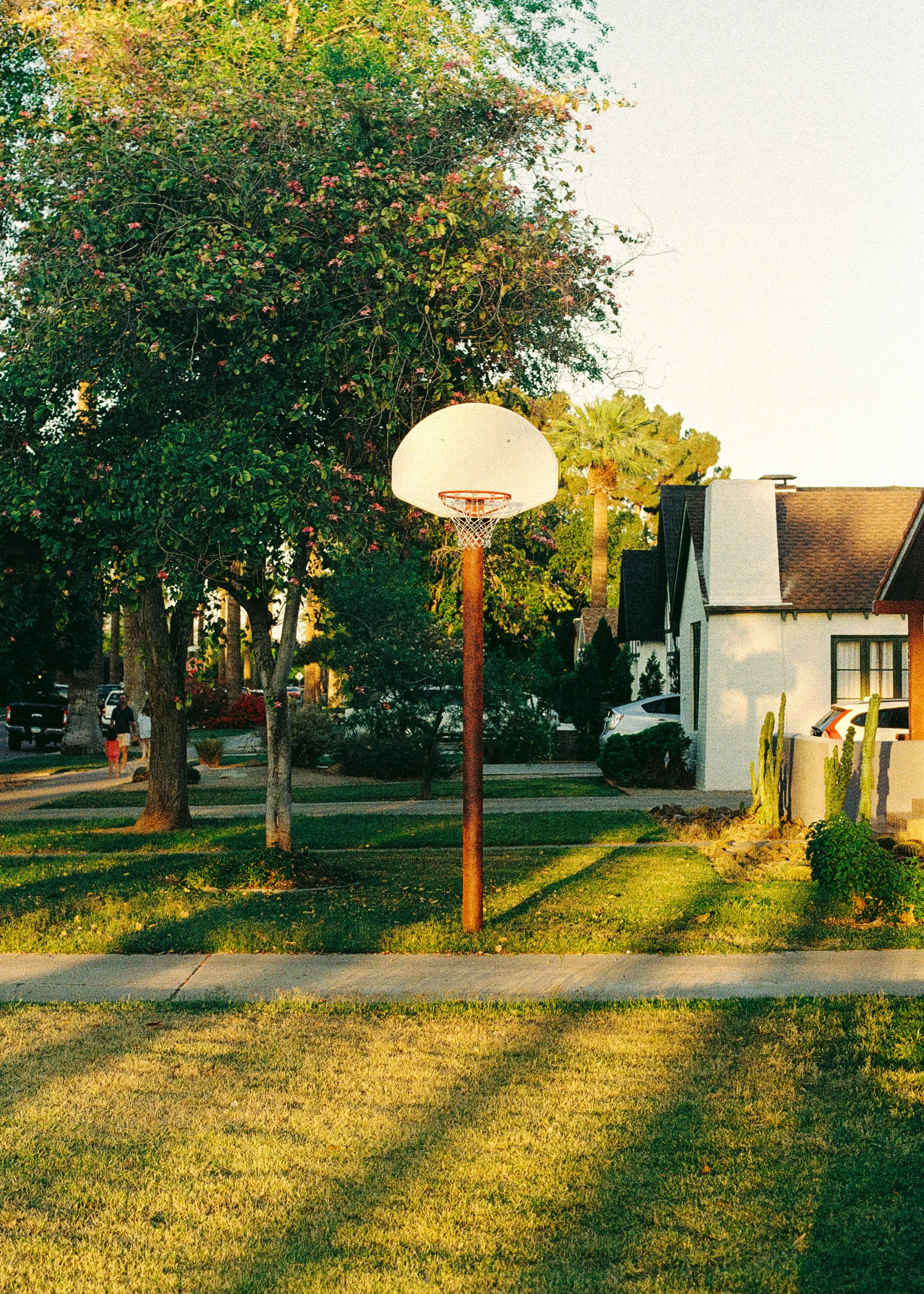 photo.jpg