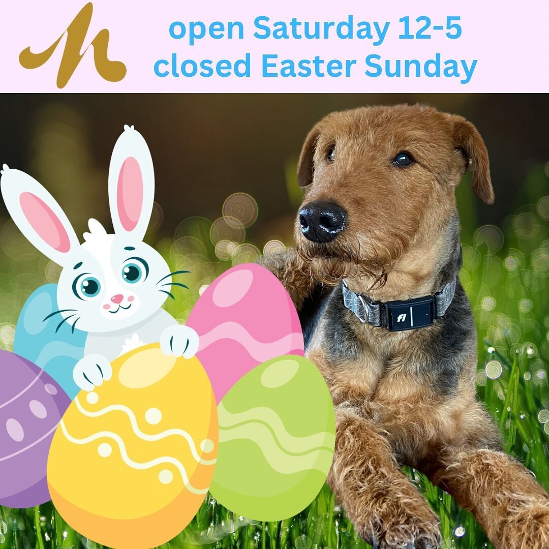 🐰🐣🐑
Happy Easter weekend, everyone! 

We have two important reminders: 

1) Pinot noir is GREAT with classic Easter meals... ham and Pinot are... as the kids say, &ldquo;Chef&rsquo;s kiss!&rdquo; 👩&zwj;🍳💋

2) We will be open on Saturday from 12