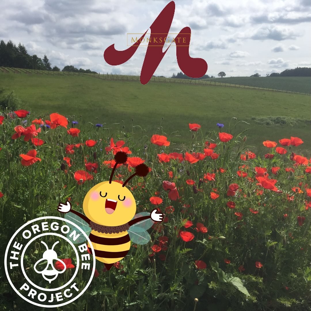 🐝🌍🦅🍇
Happy Earth Day!

MonksGate Vineyard is certified Bee Friendly &amp; LIVE Certified! (LIVE: Low Input Viticulture and Enology) 

MonksGate is proud to adhere to the standards of Bee Friendly Farming &amp; LIVE Certification. We believe that 