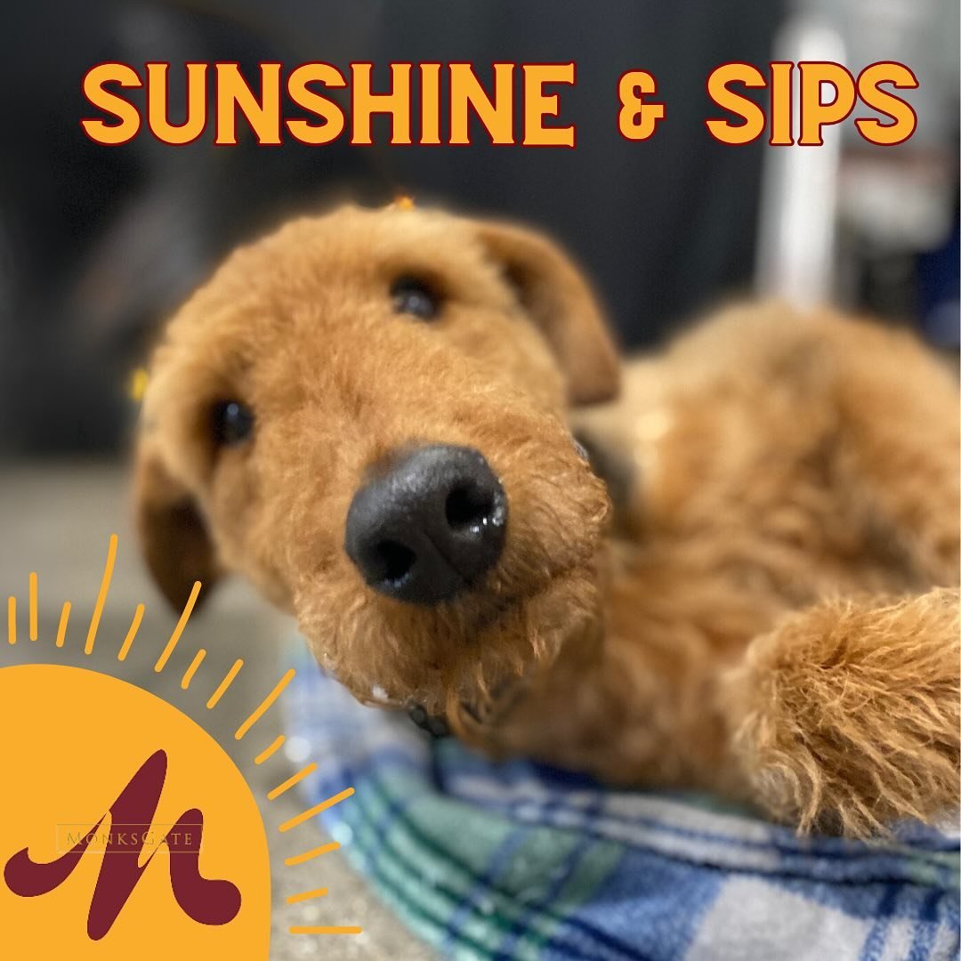 The forecast calls for sunshine and sips! Or Pinot and pups! or Mothers and MonksGate! 

Anyway you slice it, the sun is out, our patios and outdoor spaces are open, the vineyards are gorgeous, and we are ready to host you! 

Open for walk-ins on Sat