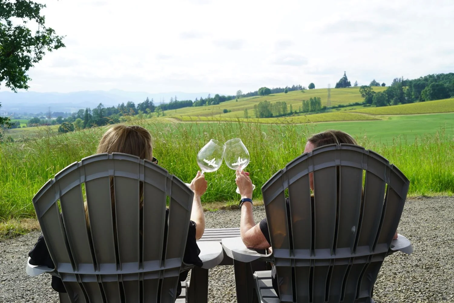 Golden Hour at MonksGate Vineyard 