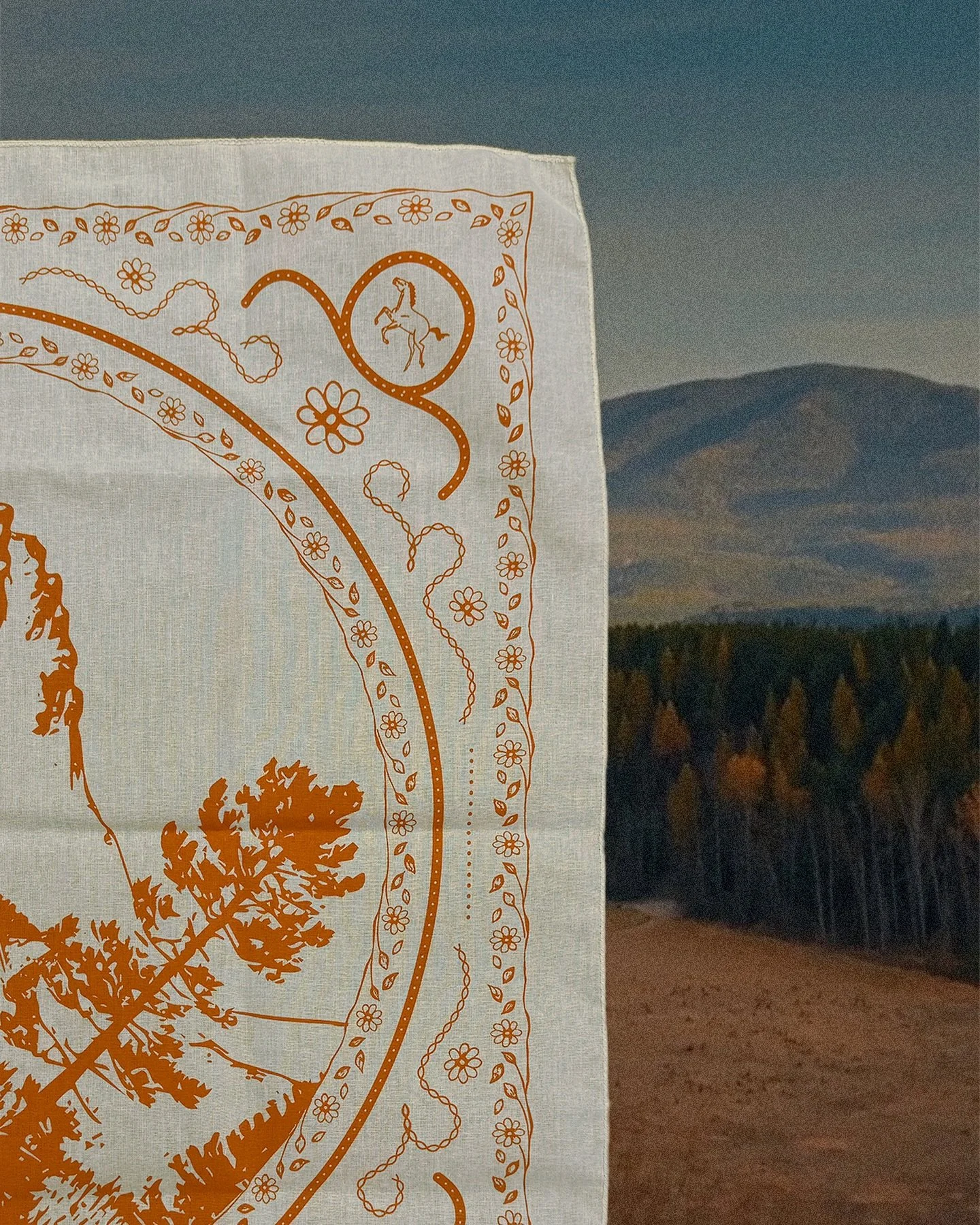 A little preview of this weekend&rsquo;s Montana wedding